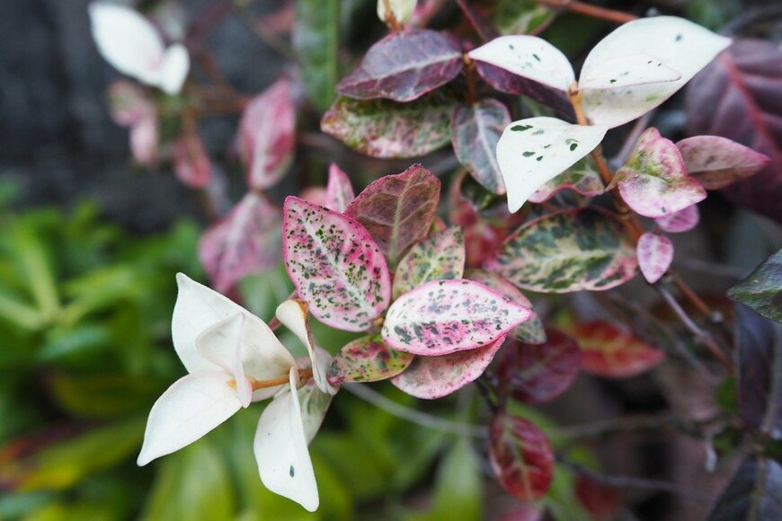 poteco/istockphoto.com