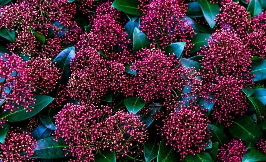 Olga Ostapenko/istockphoto.com