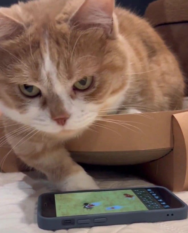 出所：@kotaro_0315