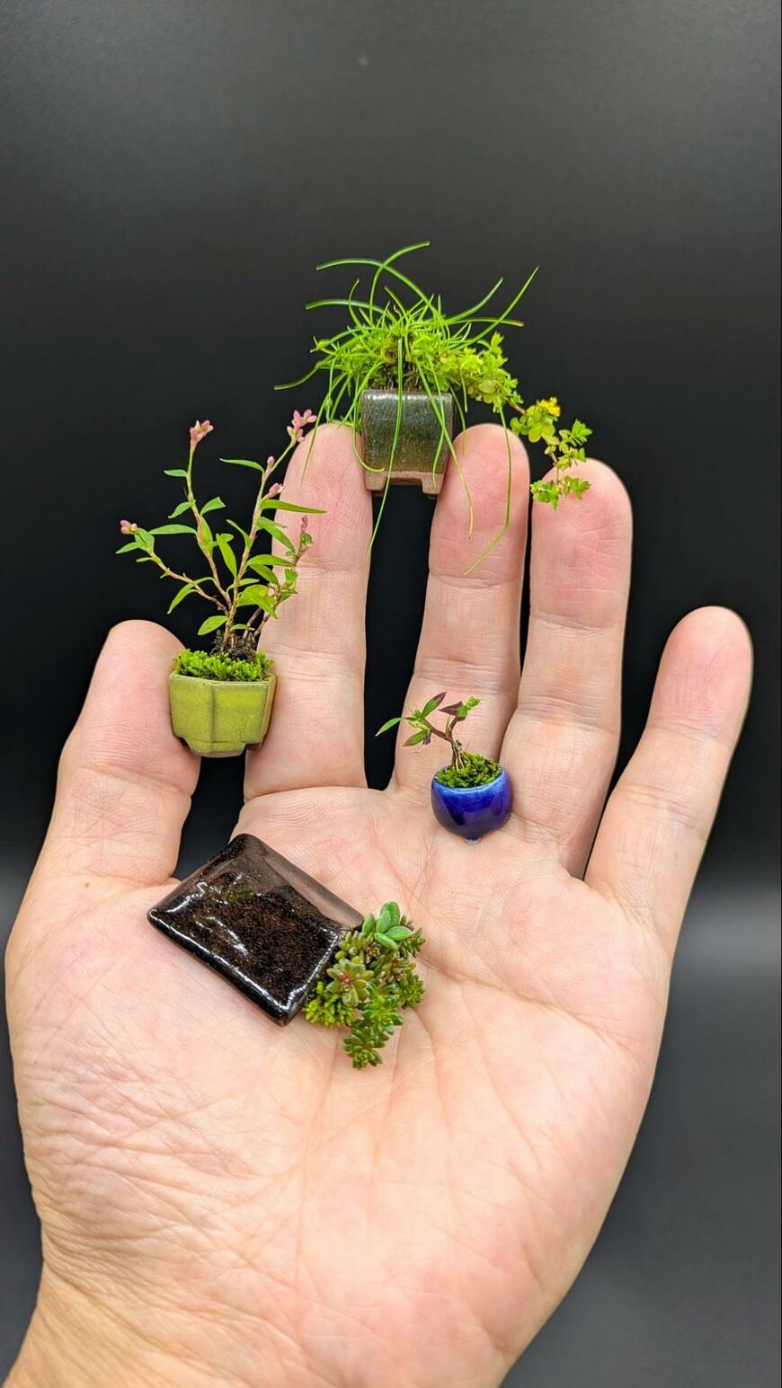 出所：@macotisima