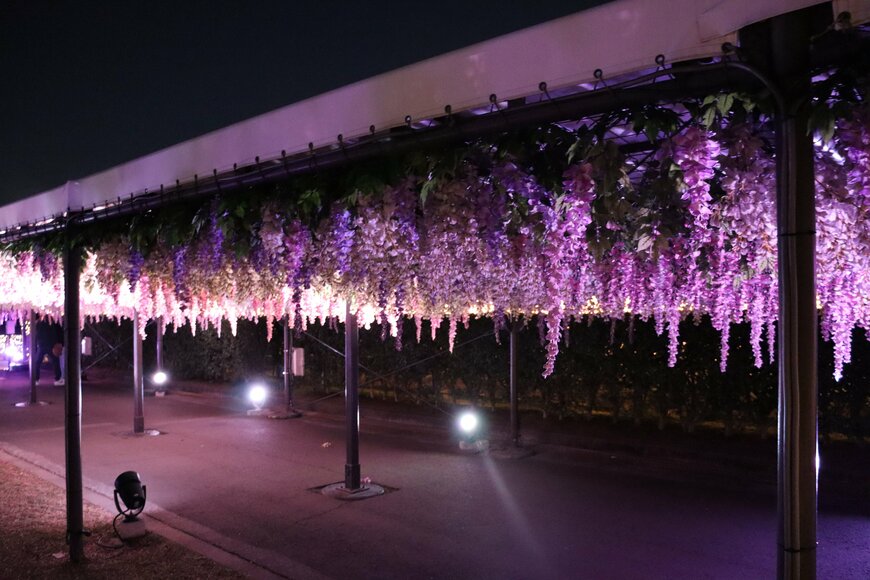 出所：筆者撮影