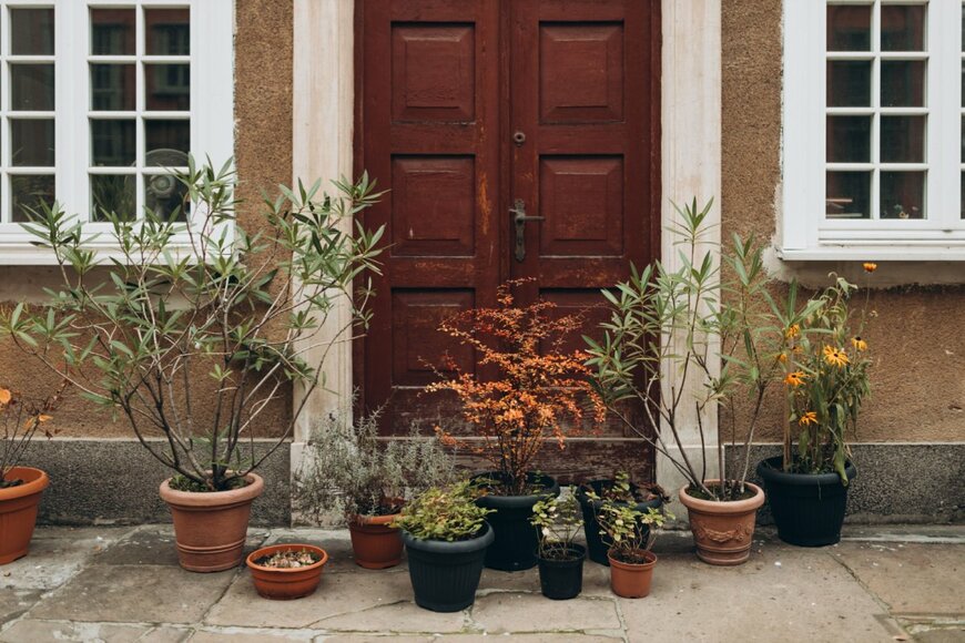 【ガーデニング】オシャレな玄関は「鉢植えツリー」で手軽に作る。おすすめの低木＆高木9選
