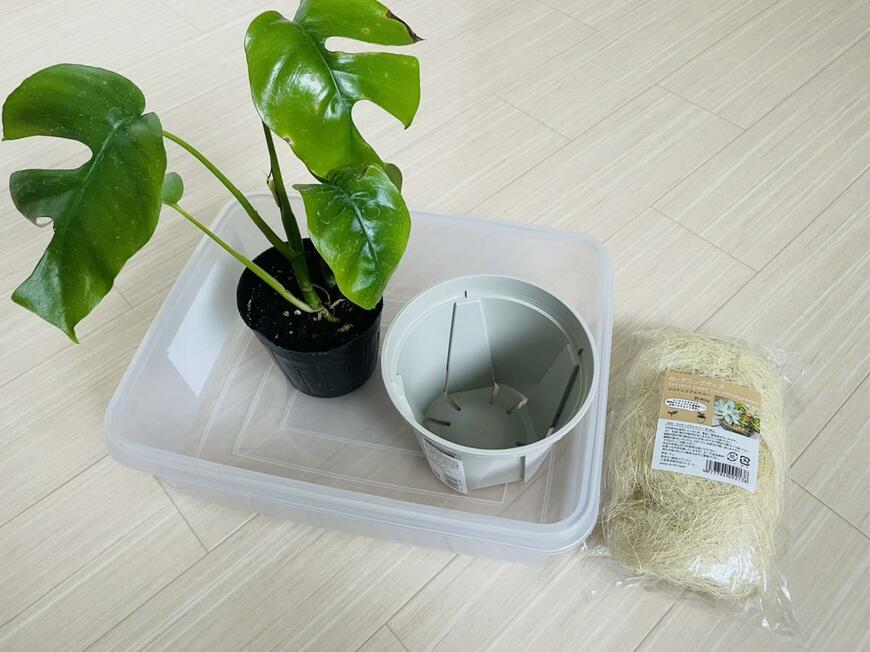 セリア「スリット鉢130mm」「ココナッツファイバー」