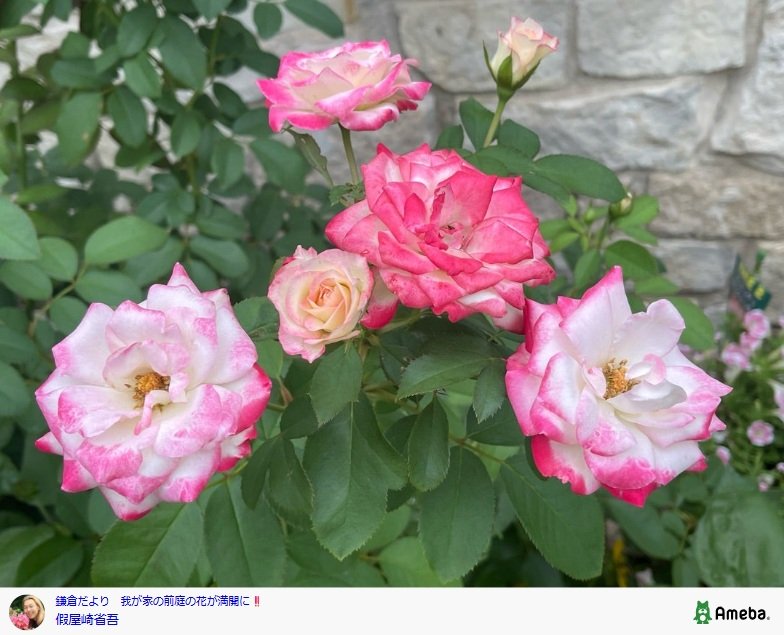 假屋崎省吾のAmebaブログ投稿