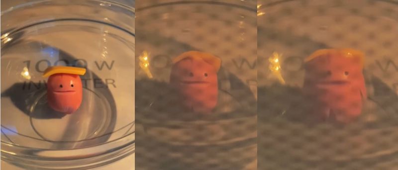 投稿動画のワンシーン