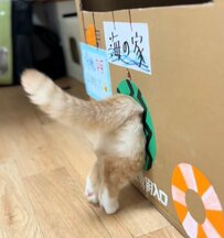 「猫パンチお見舞いしてやったニャ」飼い主さん手作りの海の家におもちゃの虫が！そのとき猫さんが取った行動とは…？