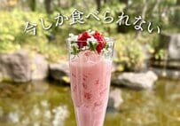 春限定の贅沢を味わう「大阪春スイーツ3選」！ひとり時間が「極上のご褒美」に変わると話題に