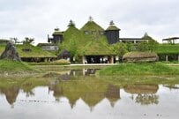 【滋賀県】近江八幡で撮影された「神秘的で美しい場所」に注目集まる　回廊みたいな空間も古代遺跡感たっぷり
