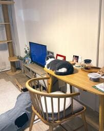 料理に失敗してガッカリ　しかし振り返ると…？悲しみ癒す猫の姿にホッコリ