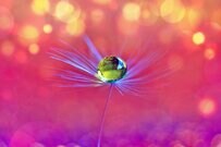 【厚生年金】「まさかの月9100円負担増?!」約243万人に影響《標準報酬月額》どうなる？