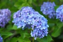 8月15日は年金支給日「どのくらいもらえる？」【年金一覧表】60代・70代・80代シニア世代の「平均年金月額」はいくら？