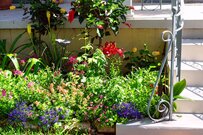 【ガーデニング】小さな庭をオシャレに魅せる！空間演出【4つのテクニック】とオススメ草花6選