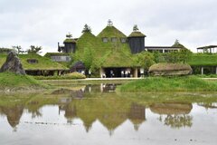 【滋賀県】近江八幡で撮影された「神秘的で美しい場所」に注目集まる　回廊みたいな空間も古代遺跡感たっぷり