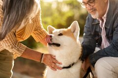 【70歳代・ふたりの老後】いまどきシニアの貯蓄平均＆中央値《貯蓄の中身》投資信託など、有価証券の割合は何％？