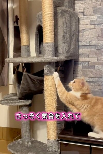 気合い十分なそらくん