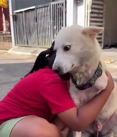 女の子にぎゅっと抱きしめられるボボ