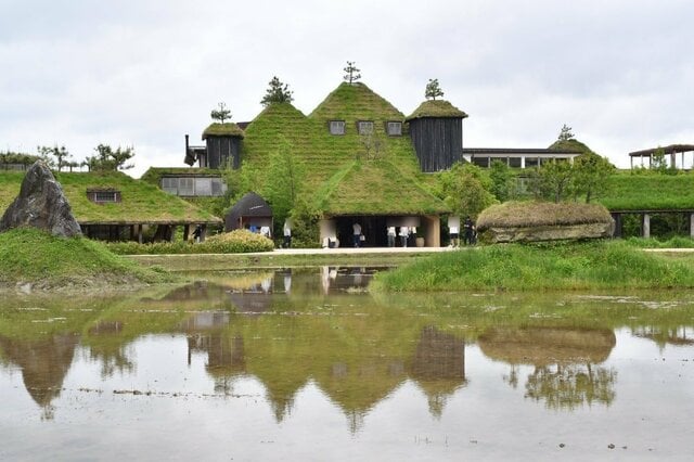 【滋賀県】近江八幡で撮影された「神秘的で美しい場所」に注目集まる　回廊みたいな空間も古代遺跡感たっぷり