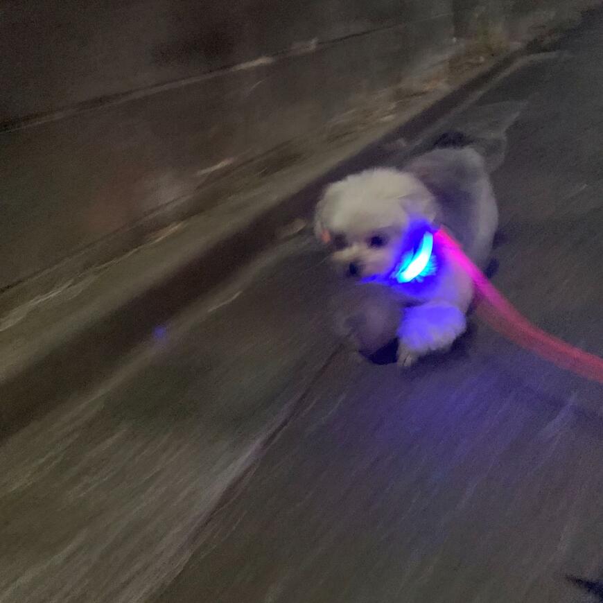 出所：@potage_0924