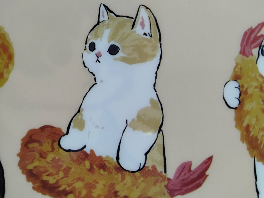 筆者撮影（セリア、モフサンド A4クリアファイル2）