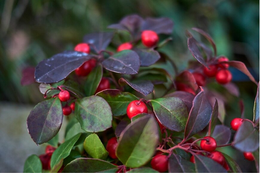 seven75/istockphoto.com