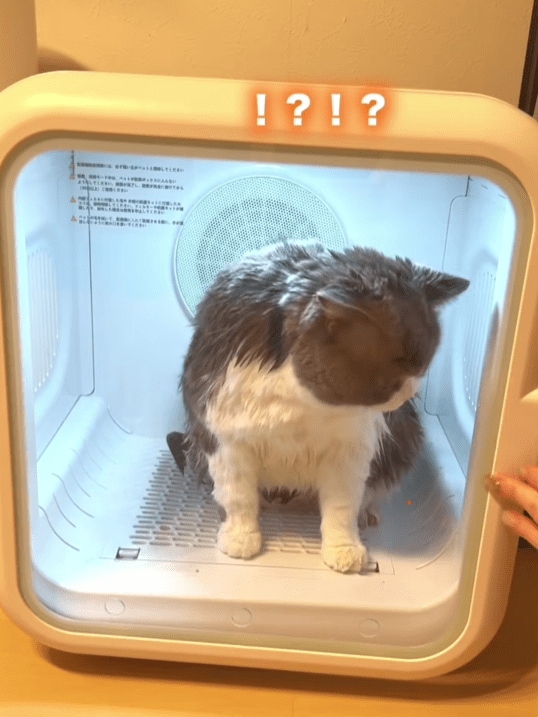 出所：＠maru0920b