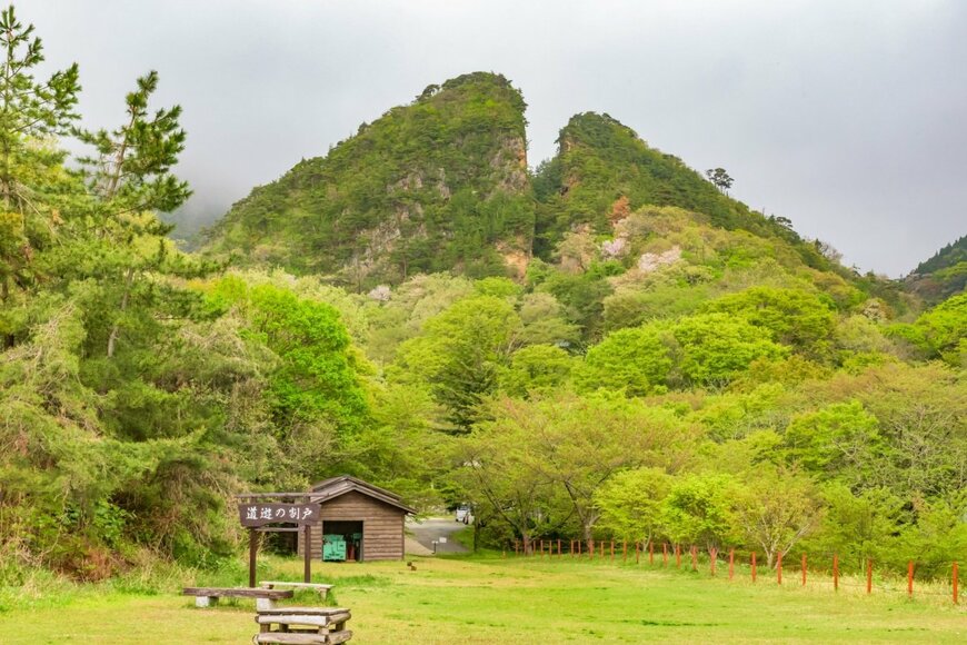 Takashi Images/shutterstock.com