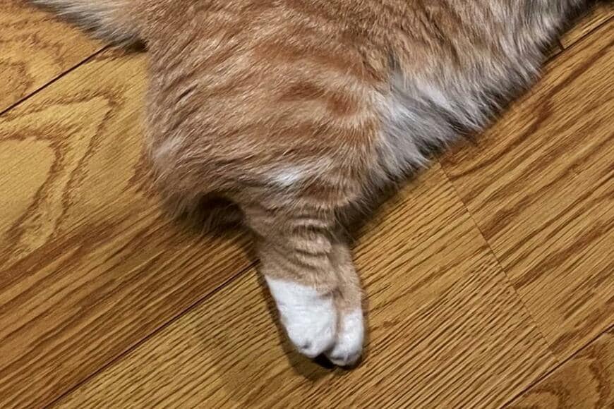 出所：@kotaro_0315