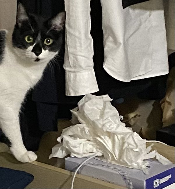 出所：@00shitemita