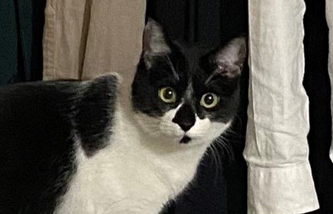 出所：@00shitemita