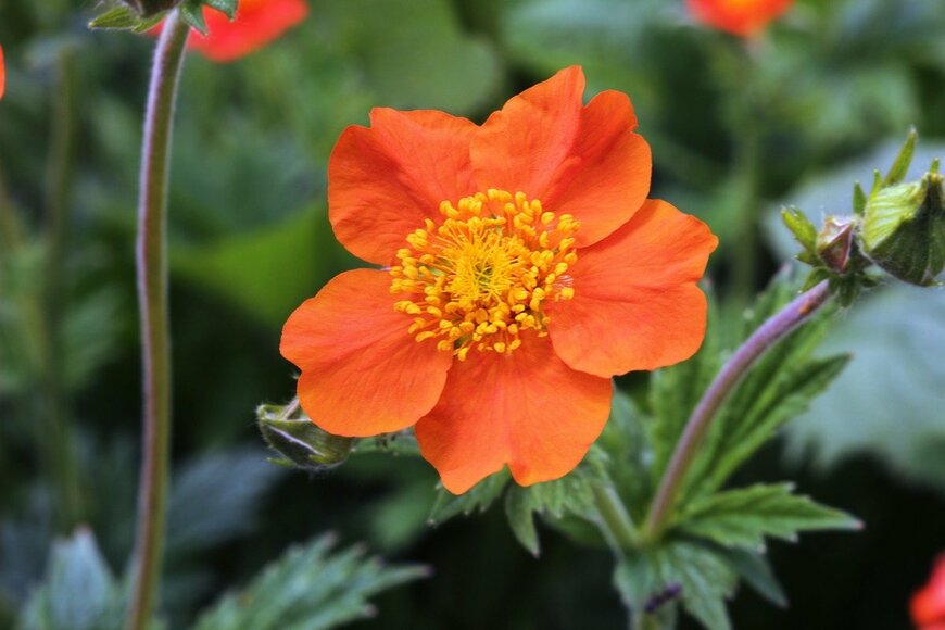 sin0nim/shutterstock.com