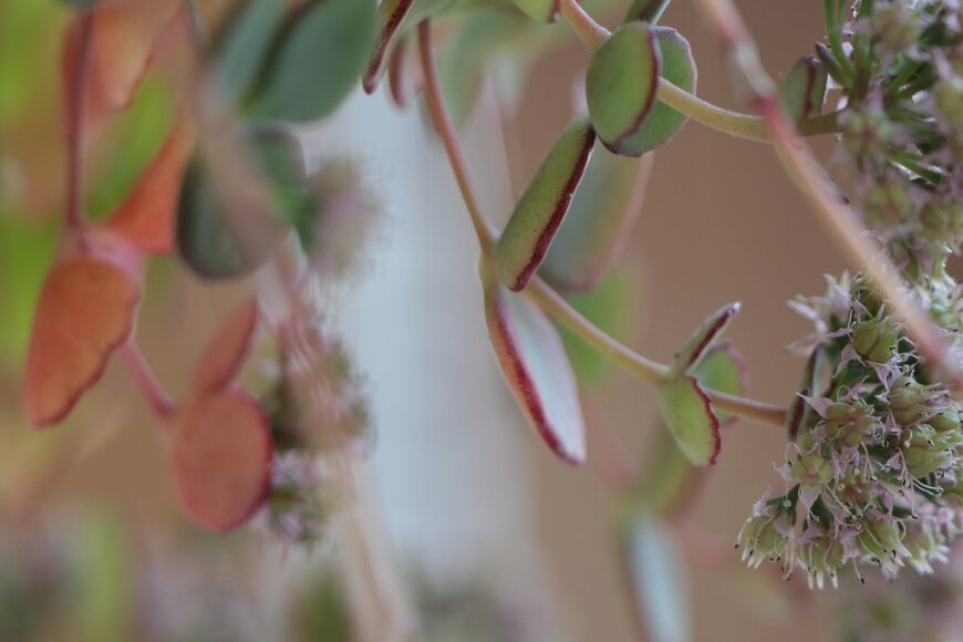 BN OKUR/shutterstock.com