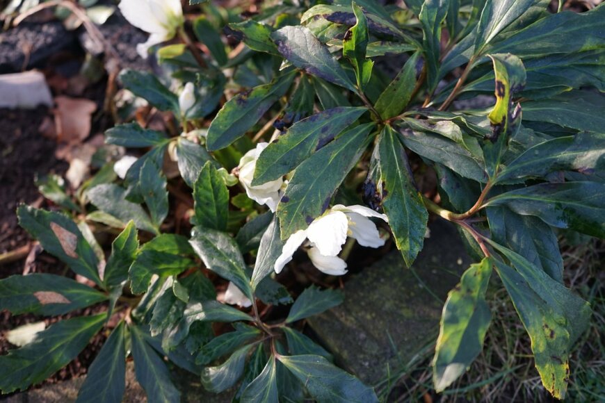 crystaldream/shutterstock.com