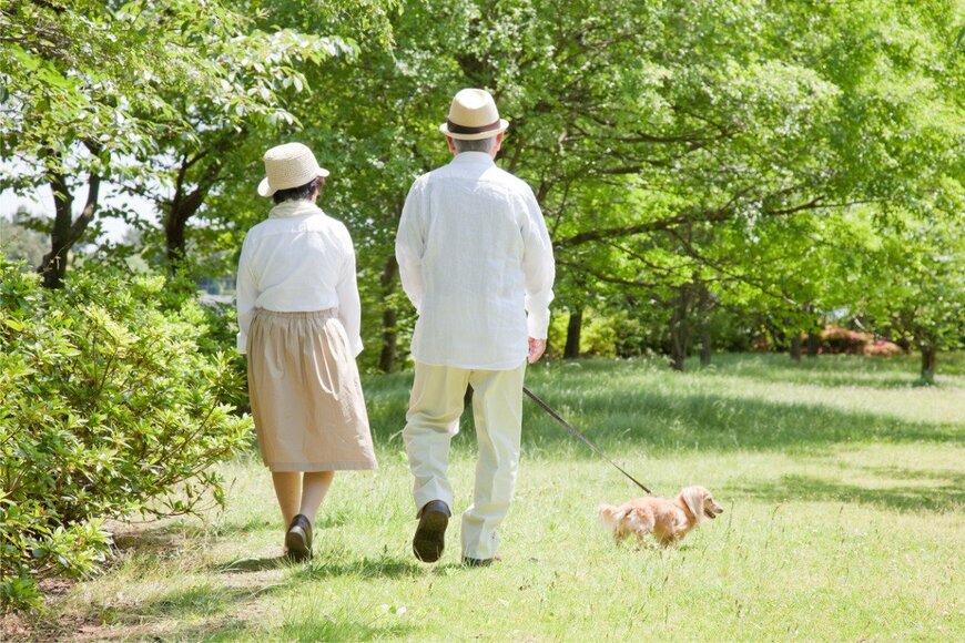 【老後】70歳代「貯蓄3000万円以上」を保有する二人以上世帯は19.7％！老齢年金《厚生年金・国民年金》は月いくら？