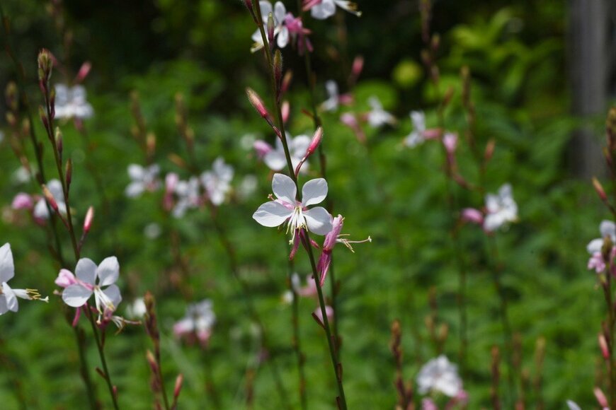 undefined undefined/istockphoto.com