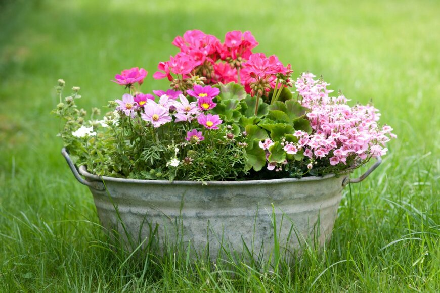 Christian Jung/shutterstock.com