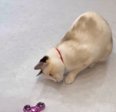 投稿の画像