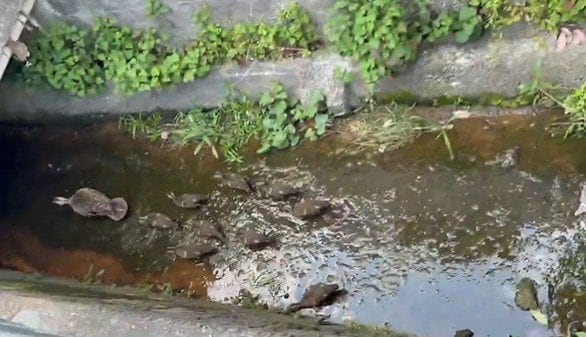 投稿の画像