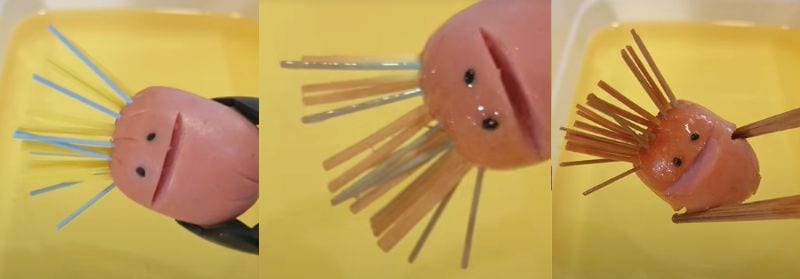 投稿動画のワンシーン