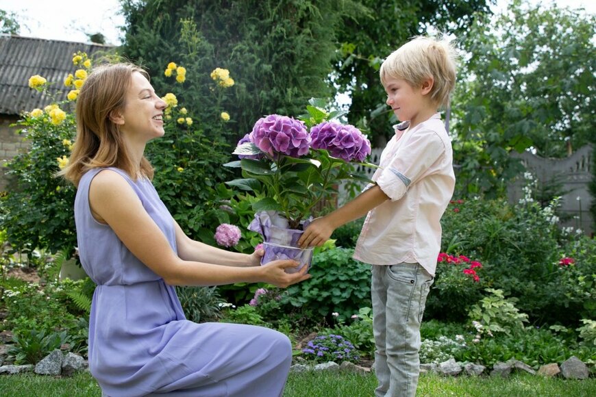 金髪の小さな男の子が母親に紫のアジサイの花をプレゼントしている。