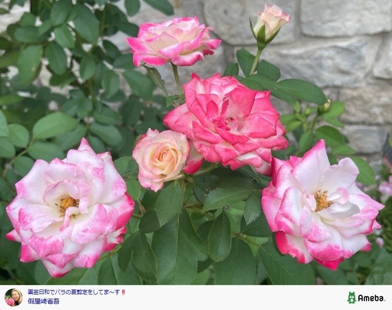 假屋崎省吾のAmebaブログ投稿