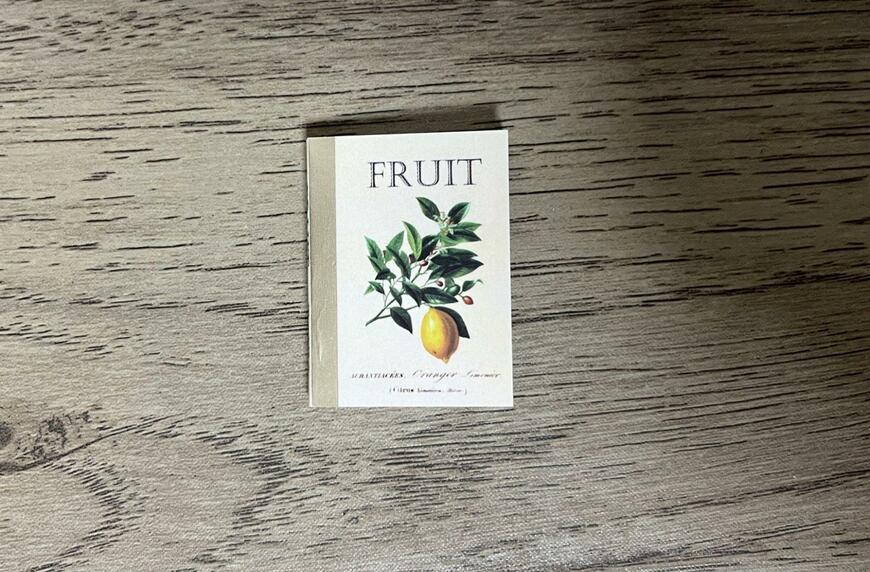 セリア、ドール ブック　画像