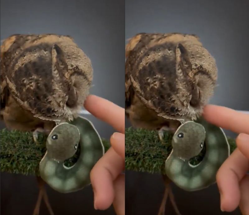 投稿動画のワンシーン