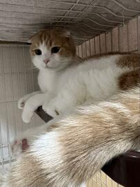 猫の写真を撮影したら　わかりやすすぎる「NG」に笑みがこぼれる