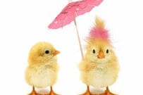 厚生年金を月額平均で10万円受給できる人は何パーセントか。男女別にチェック