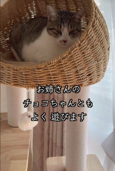 投稿の画像