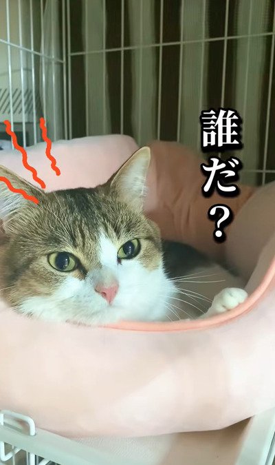 投稿の画像