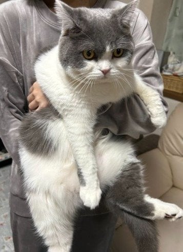 「虚無顔」が笑えます