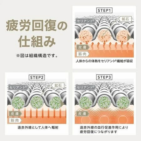 EXセリアント ウェア