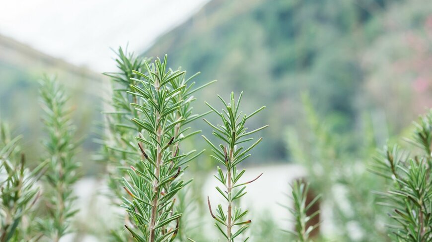 Bebenjy/istockphoto.com 