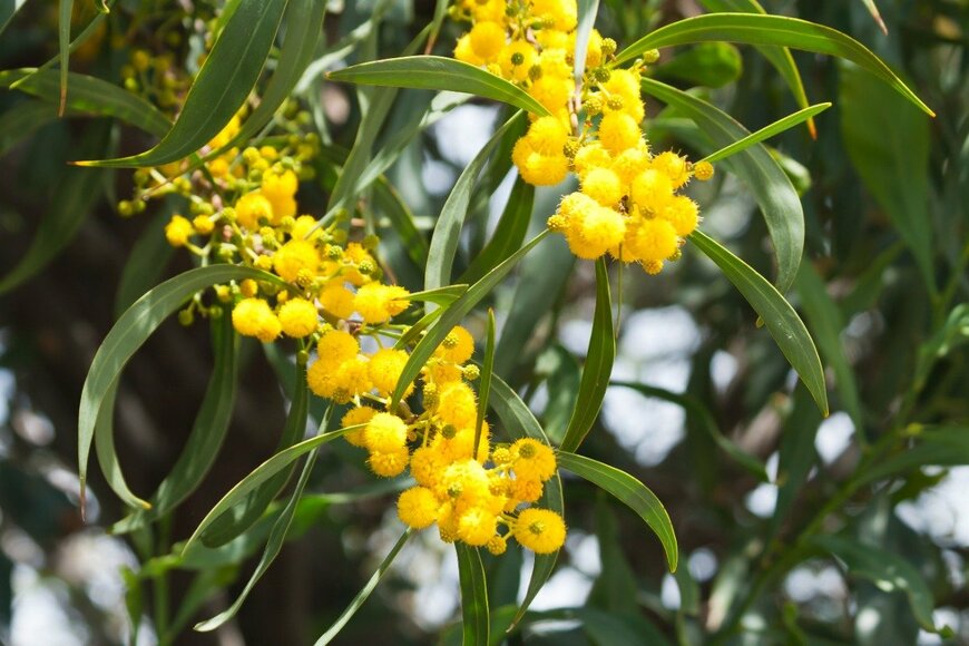 Olga Donchuk/istockphoto.com